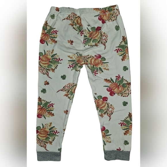 Burt's Bees Kids Boy Girl Thanksgiving Celebration Organic 2pc PJ Set Sz 4T - Picture 16 of 16